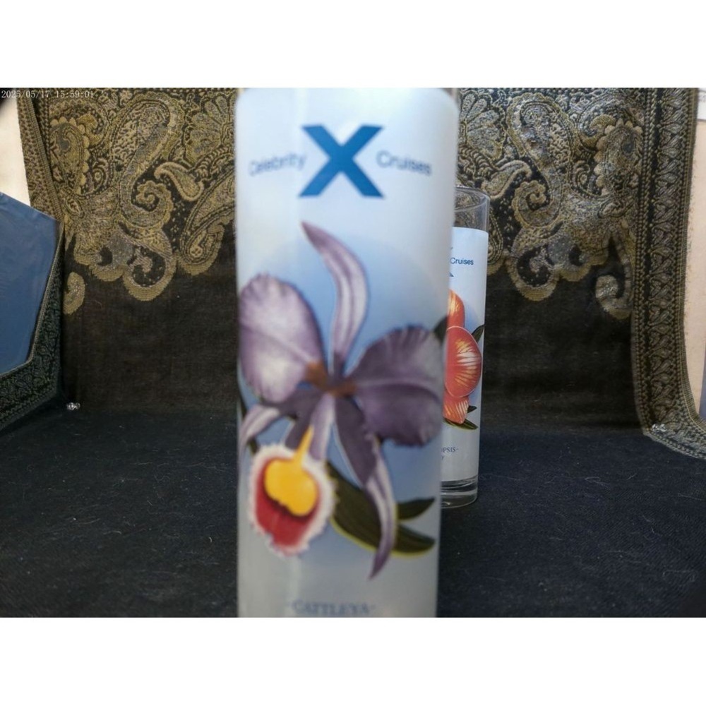 Frosted Cocktail Glasses‎ Celebrity Cruises Vintage Orchid Set Of 2 Glassware - Picture 7 of 11
